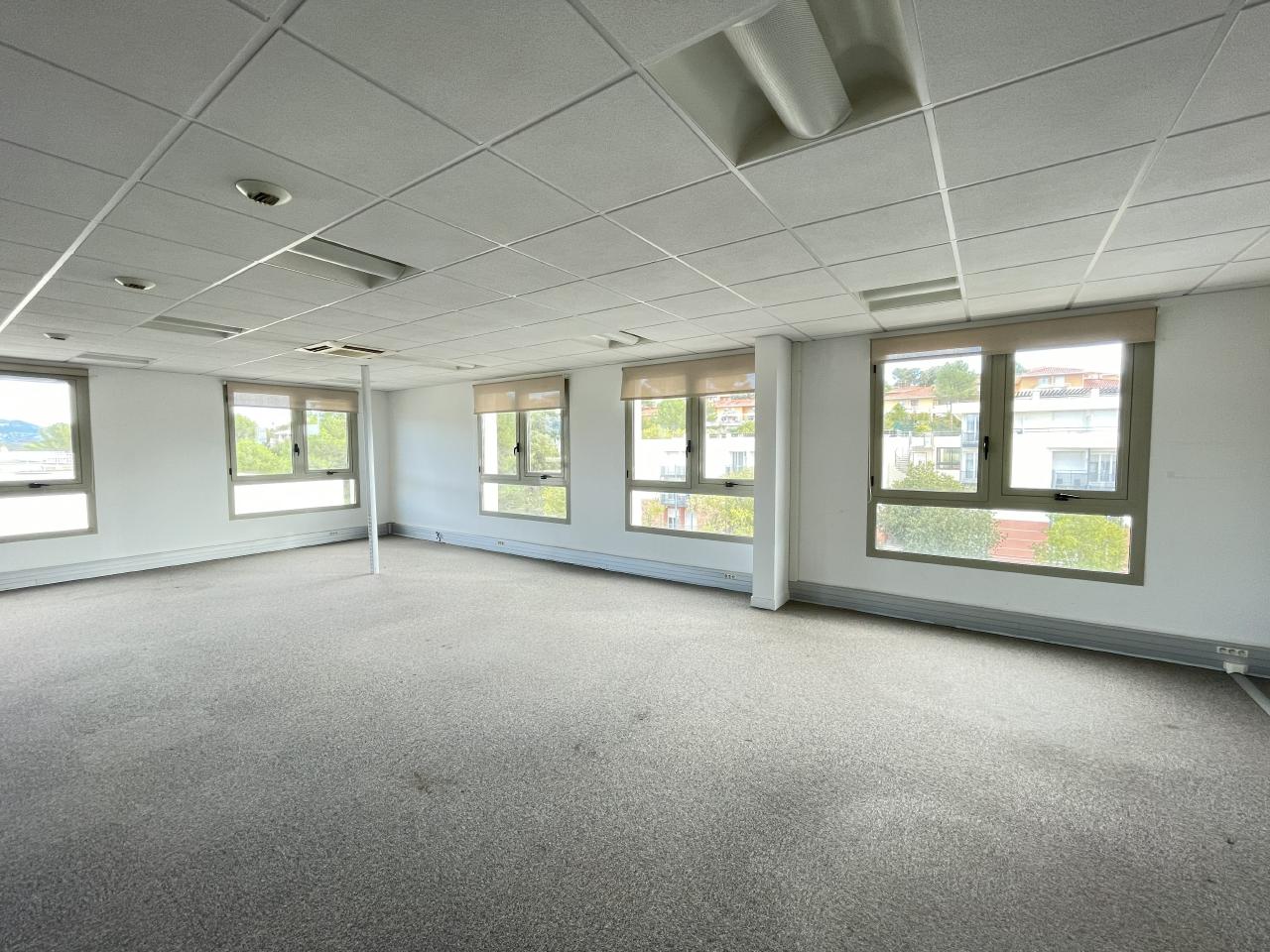 Bureau Biot 1009m² Location bureau Biot Alpes-Maritimes OLBUR2115903 2
